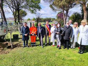 Roma - Piantumazione di un ulivo nel giardino dell'ospedale Sandro Pertini
