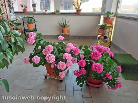 Schermata-2022-04-12-alle-19.35.19
