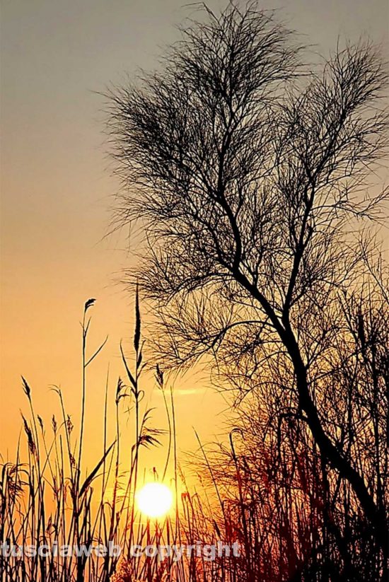 Tramonto a Marina di Cerveteri