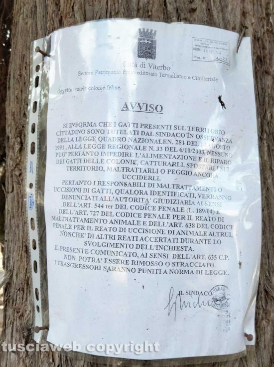 Viterbo - Avviso del comune al cimitero San Lazzaro 