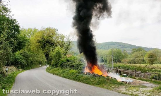 Orte Scalo - Incendio di sterpaglie lungo la provinciale