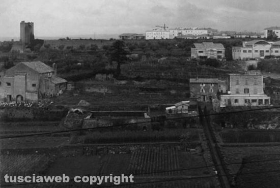 Viterbo anni ’60 - Veduta del vivaio del Consorzio agrario provinciale di Viterbo