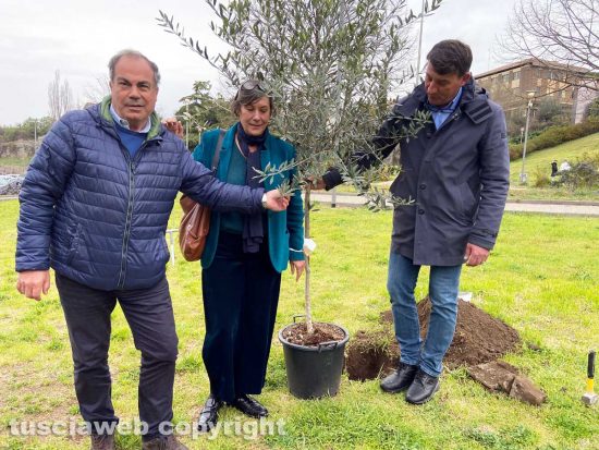 Viterbo - Cgil, Cisl e Uil piantano un albero a Valle Faul in ricordo delle vittime di femminicidio