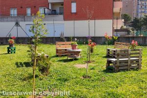 Viterbo - Il giardino in via Lippi