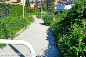 Viterbo - Incuria lungo la stradina che collega via dei Monti Cimini a via Monte Bianco