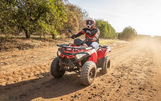 Quad