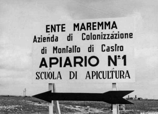 Montalto di Castro - Presentazione del libro "I volti della riforma"