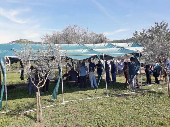 Montefiascone - Il Microchip day