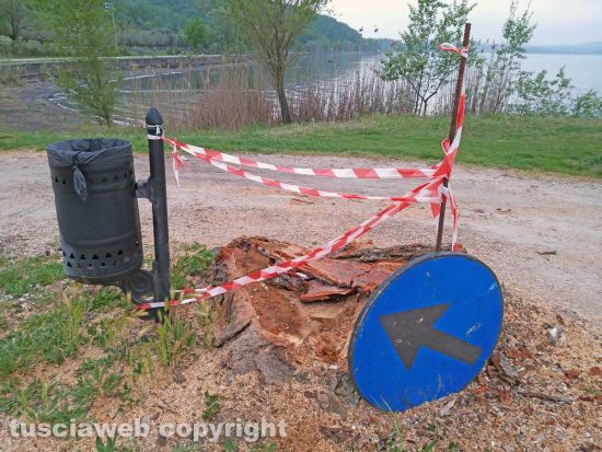 Montefiascone - Gli alberi tagliati sul lungolago