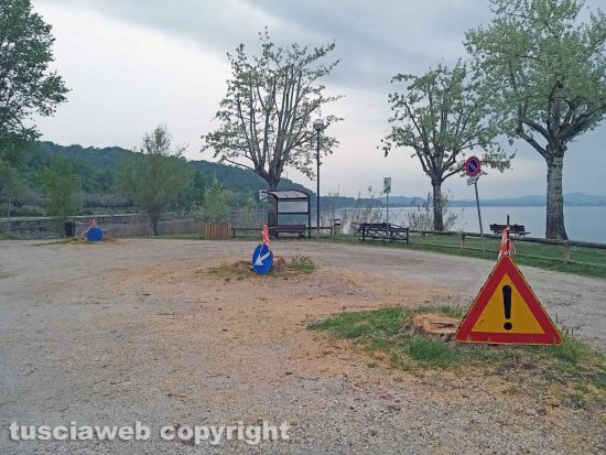 Montefiascone - Gli alberi tagliati sul lungolago