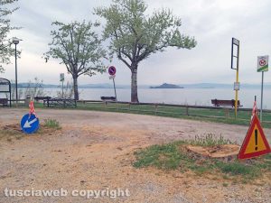 Montefiascone - Gli alberi tagliati sul lungolago