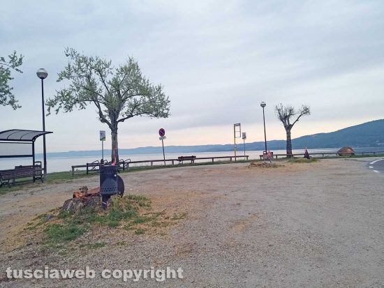 Montefiascone - Gli alberi tagliati sul lungolago