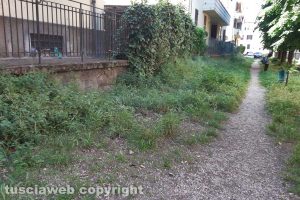 Viterbo - Incuria al Pilastro