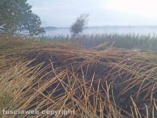 Montefiascone - L'incendio sul lungolago
