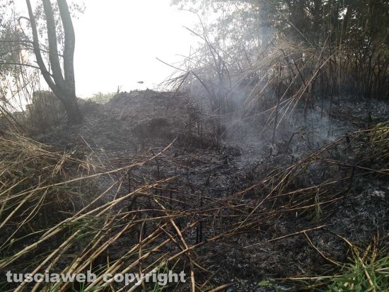 Montefiascone - L'incendio sul lungolago