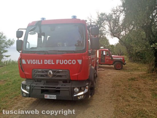 Montefiascone - L'incendio sul lungolago - L'intervento dei vigili del fuoco
