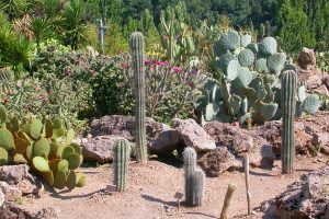Viterbo - L'orto botanico Angelo Rambelli dell'università della Tuscia