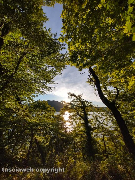 Alba sul lago di Vico