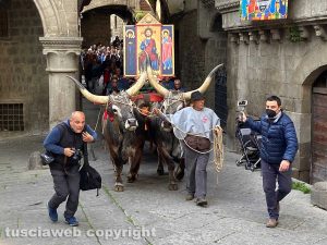 Viterbo - La processione del Santissimo Salvatore