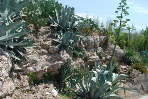 Viterbo - L'orto botanico Angelo Rambelli dell'università della Tuscia