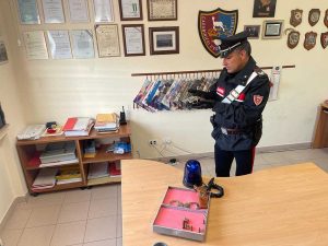 Montopoli in Sabina - Il materiale sequestrato dai carabinieri