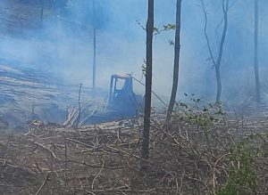 Incendio boschivo a Oriolo Romano