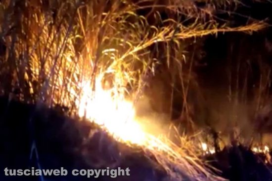 Viterbo - Incendio su strada Salamaro