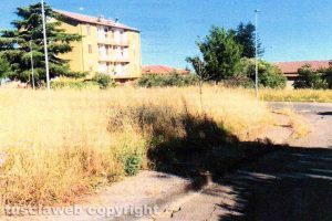 Bagnaia - Erba alta