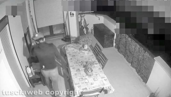 Viterbo - Furti al Carmine e al Salamaro - Il ladro entra in casa dal balcone