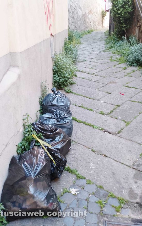 Viterbo - Buste dell'immondizia ed erbacce 