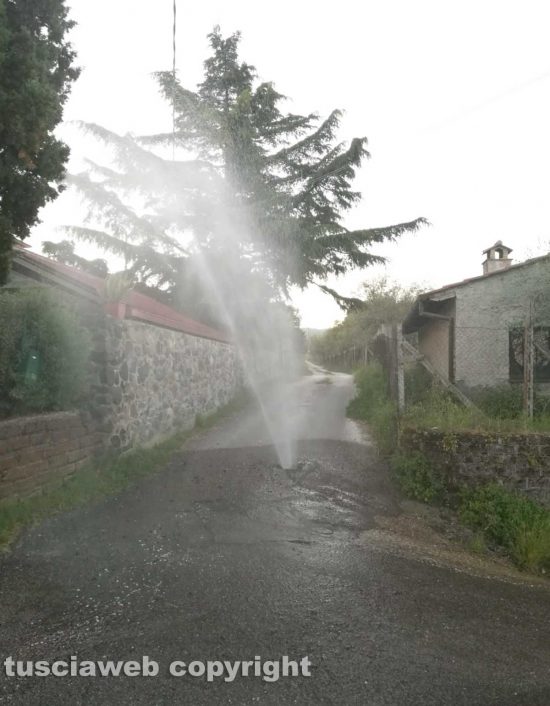 Viterbo - Perdita d'acqua in strada Torre del Guercio