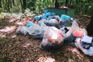 Fabrica di Roma - La seconda giornata Ecologica