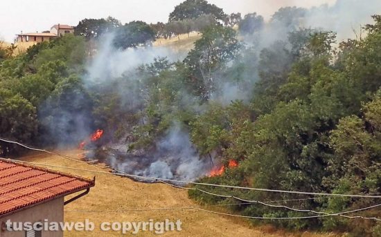 Montefiascone - L'incendio in località Vallalta