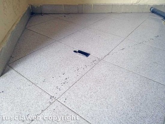 Montefiascone – Le formiche alla stazione di Zepponami