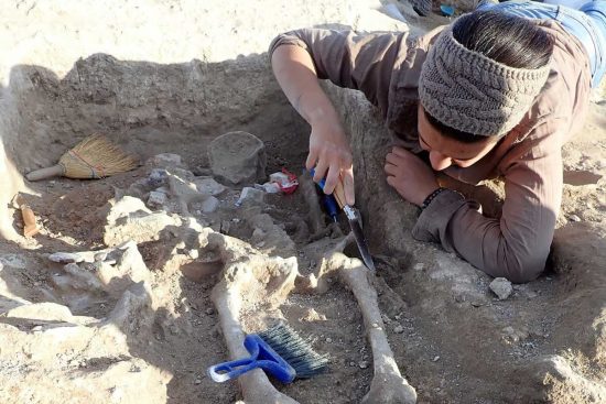 Gli scavi al parco Archeologico di Vulci