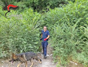 Terni - Blitz antidroga nei boschi di Mazzelvetta