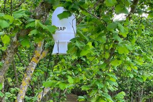 Ronciglione - La Cpn sperimenta per la prima volta le nuove trappole xFarm