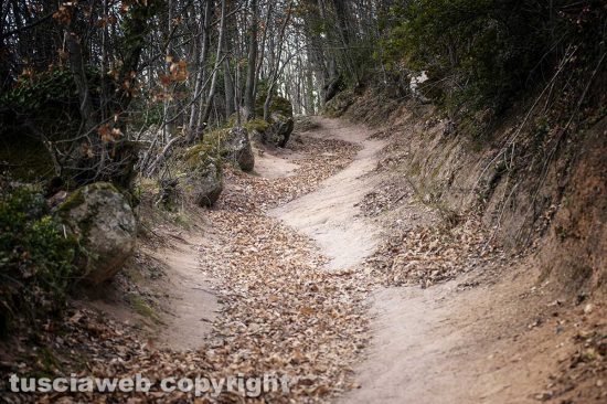 La Palanzana - Foto di Maurizio Di Giovancarlo