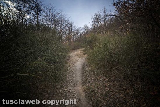La Palanzana - Foto di Maurizio Di Giovancarlo