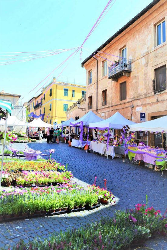 Festa della Lavanda a Tuscania