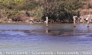 Montalto di Castro - Il fiume Fiora