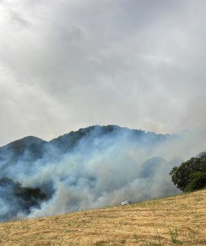 Trevignano Romano - Incendio nel bosco