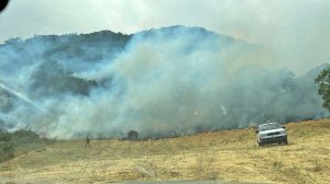 Trevignano Romano - Incendio nel bosco