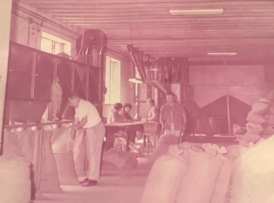 L'azienda di Mariano Stelliferi