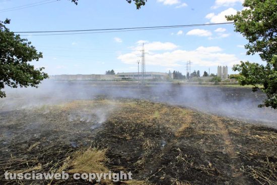 Viterbo - Sterpaglie in fiamme al Poggino
