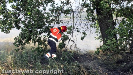Viterbo - Sterpaglie in fiamme al Poggino