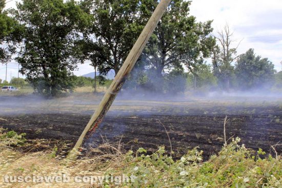 Viterbo - Sterpaglie in fiamme al Poggino