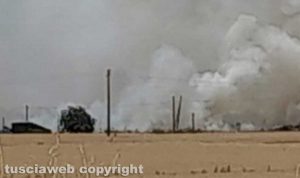 Montalto di Castro - Incendio in un campo di grano