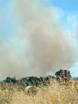 Incendio tra Viterbo e Vetralla