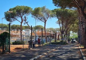 Tarquinia - L’abbattimento dei pini 